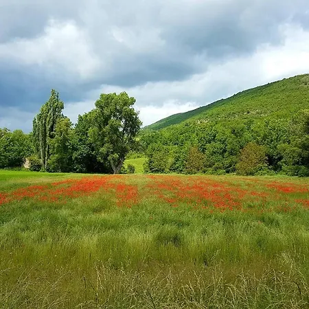 Studio Duplex - Luberon Coeur De Village Appartement *